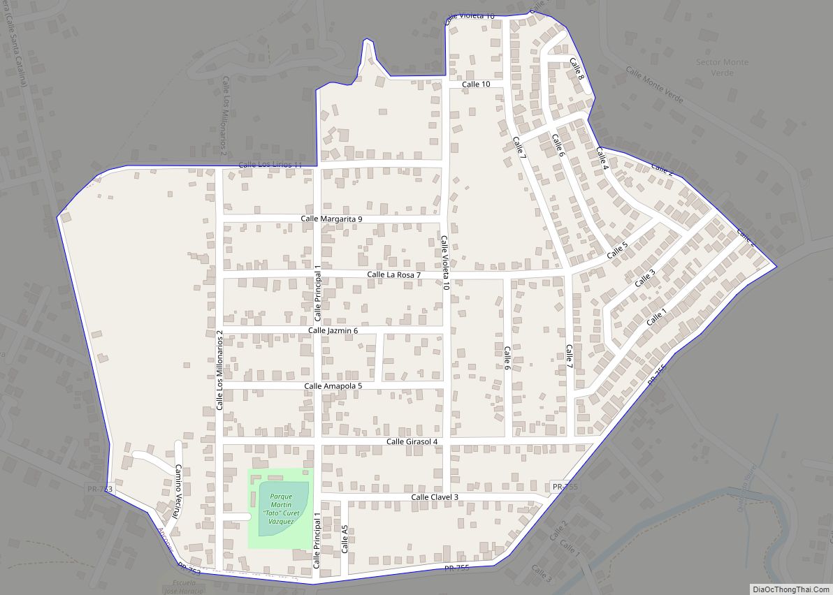Map of Buena Vista comunidad, Puerto Rico