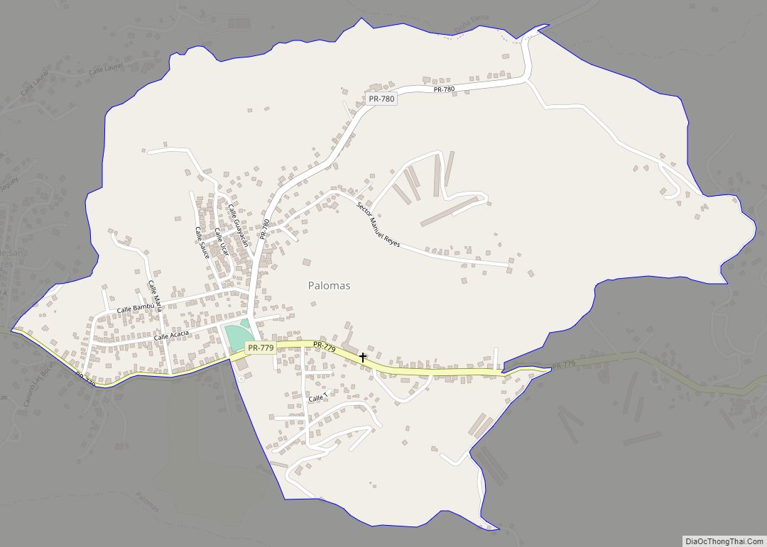 Map of Palomas comunidad