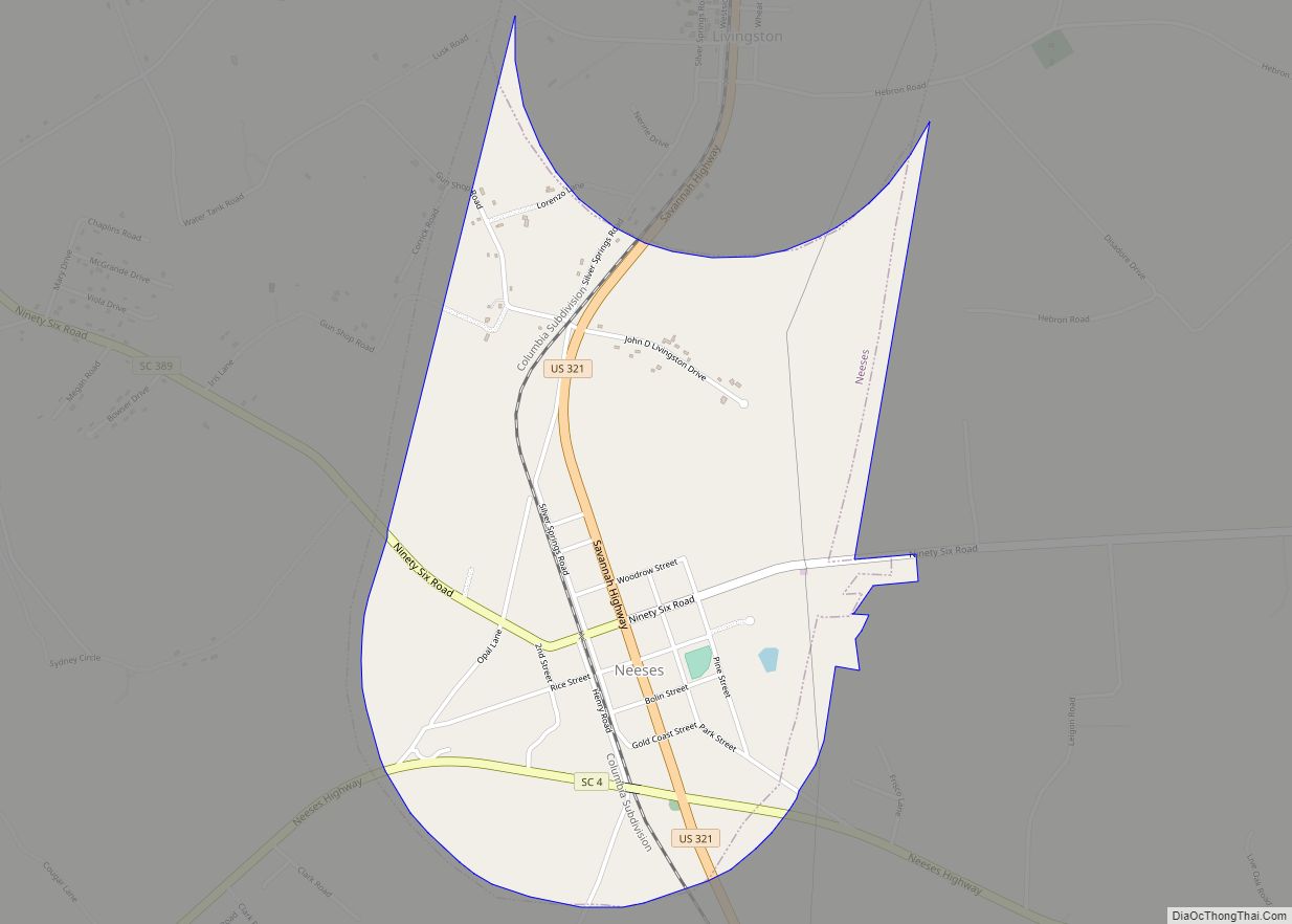 Map of Neeses town