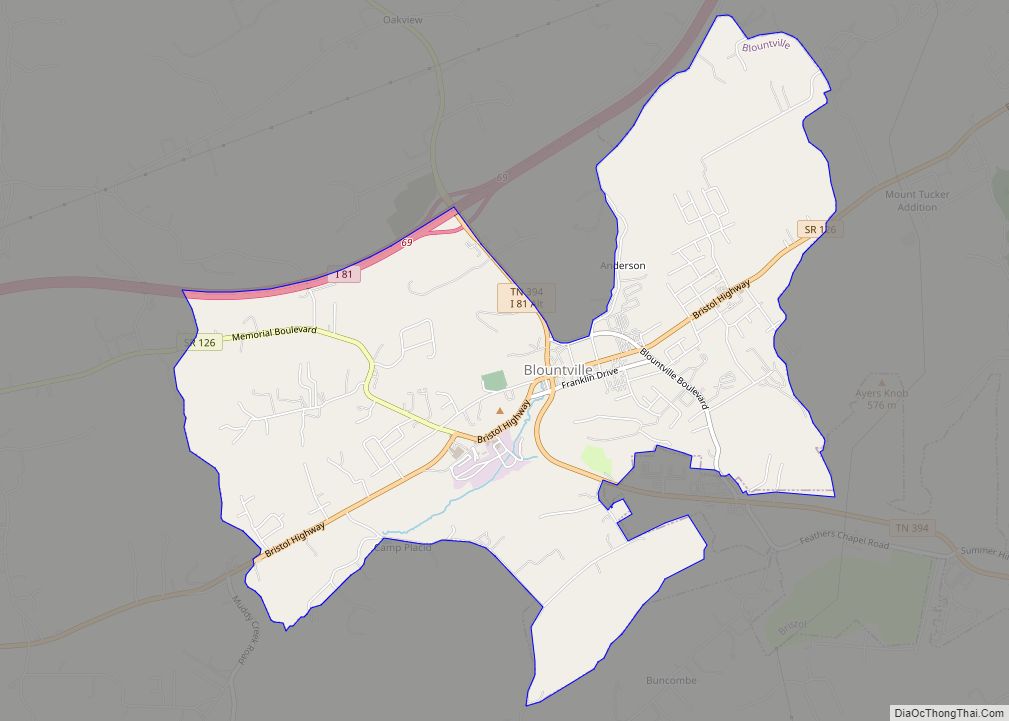 Map of Blountville CDP