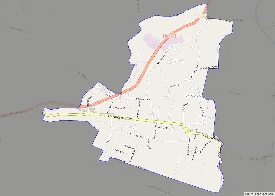 Map of Byrdstown town