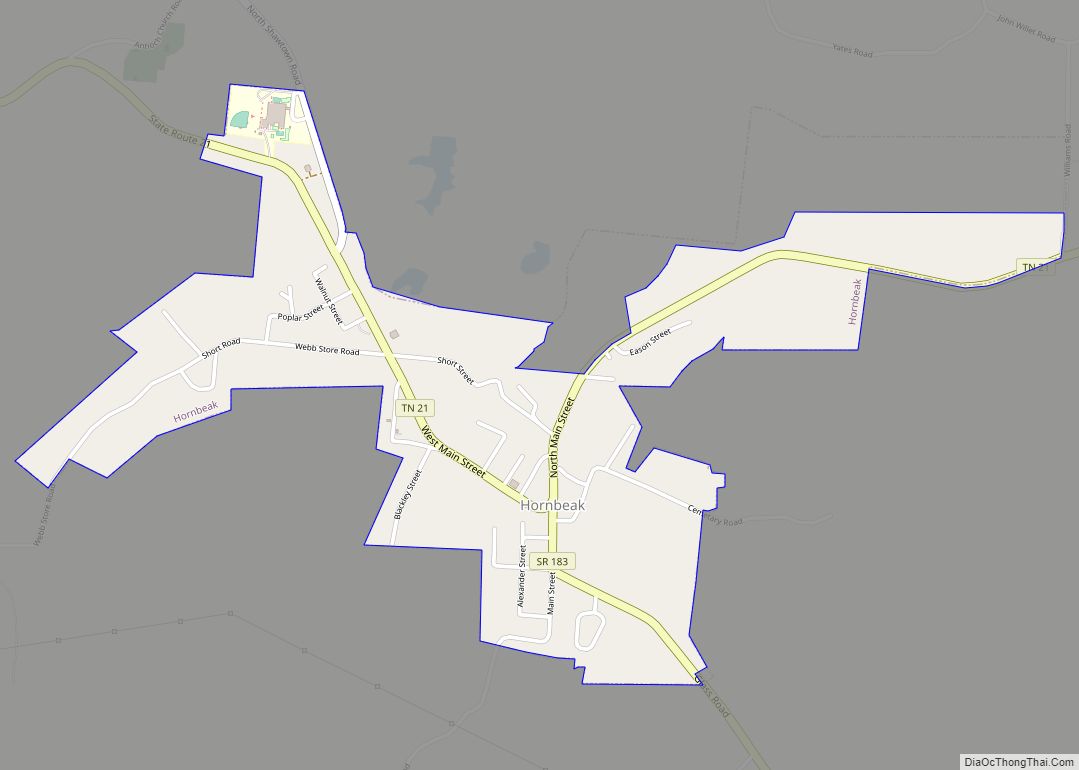 Map of Hornbeak town