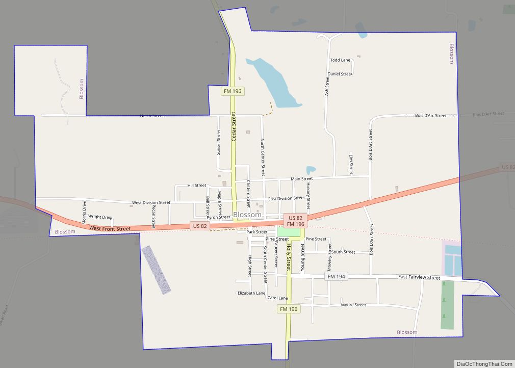 Map of Blossom city