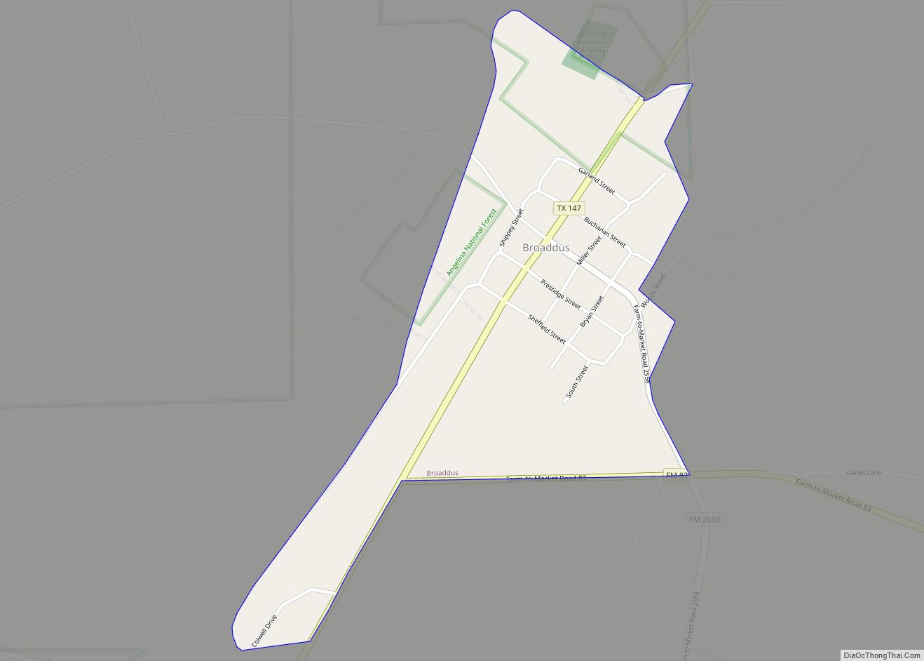 Map of Broaddus town