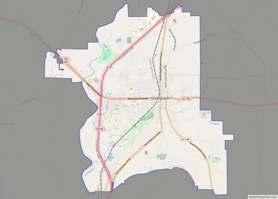Map of Livingston town, Texas