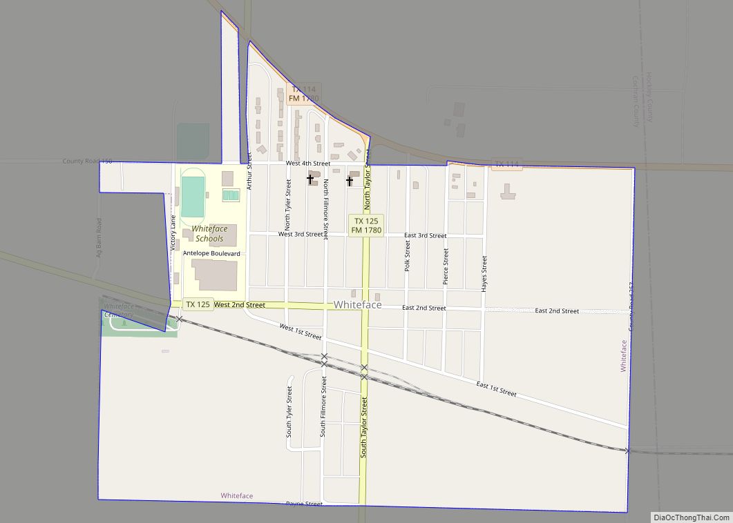 Map of Whiteface town