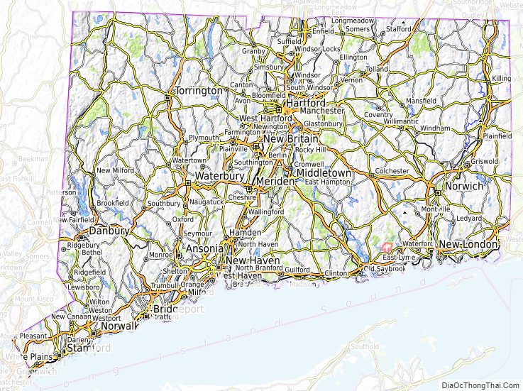 着後レビューで 送料無料】 Connecticut Stateマップシェイプタイタック - www.el-services.fr