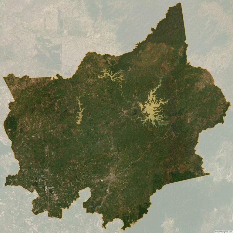 Bản đồ vệ tinh Bình Phước