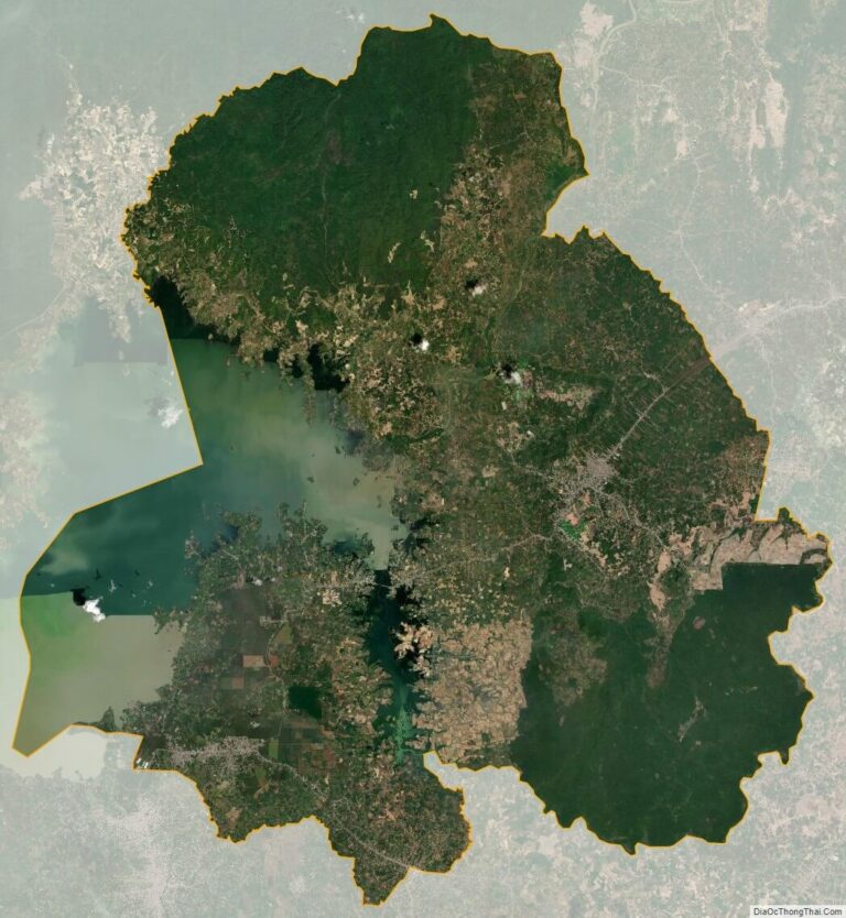 Dinh Quan satellite map