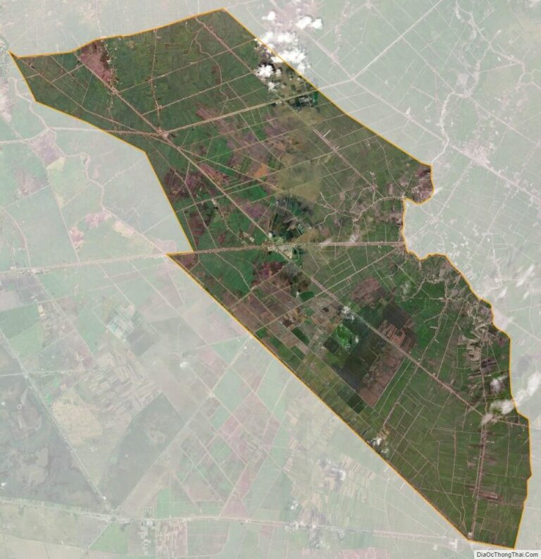 Bản đồ vệ tinh huyện Tân Hưng