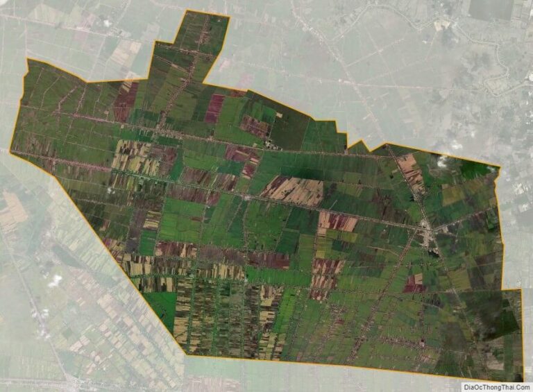 Bản đồ vệ tinh huyện Tân Thạnh