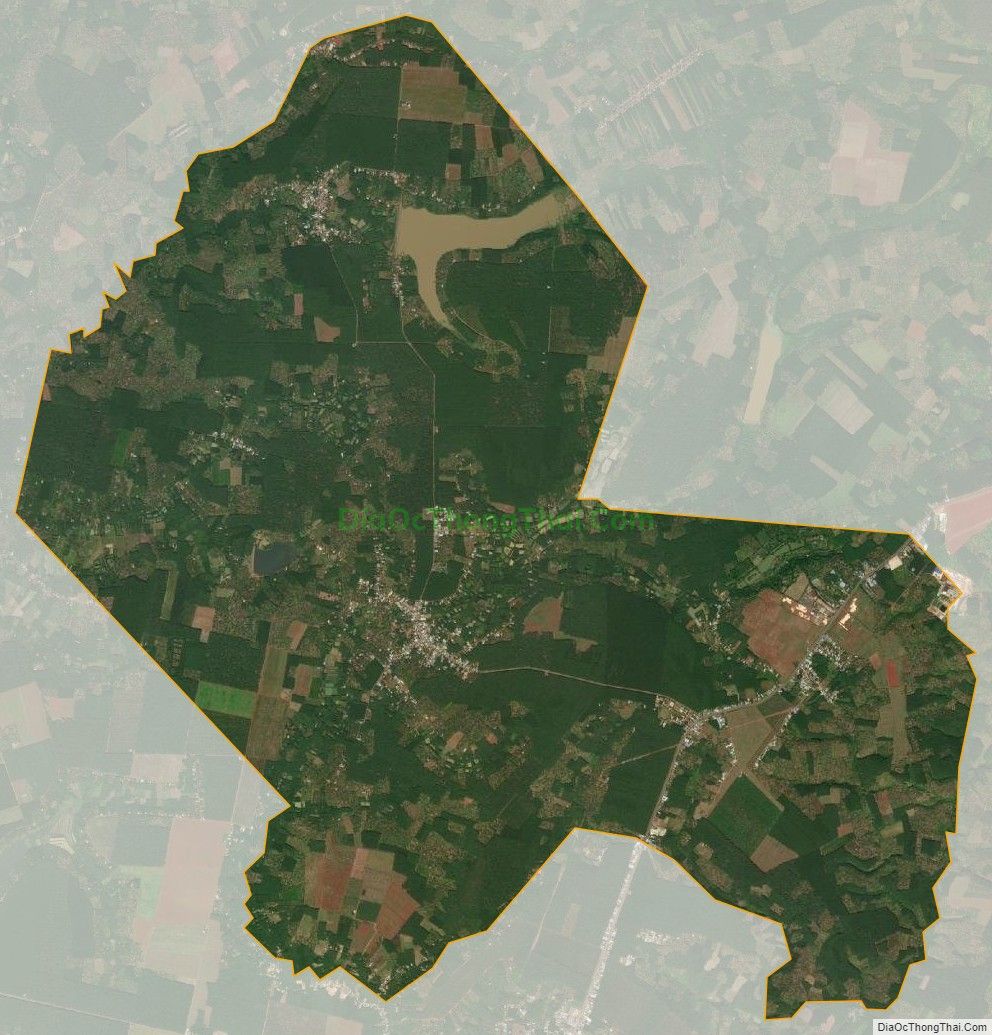 Bản đồ vệ tinh xã Long Hưng, huyện Phú Riềng