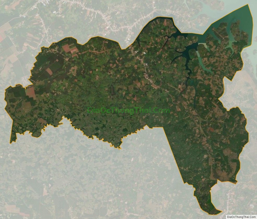 Bản đồ vệ tinh xã Phước Tân, huyện Phú Riềng