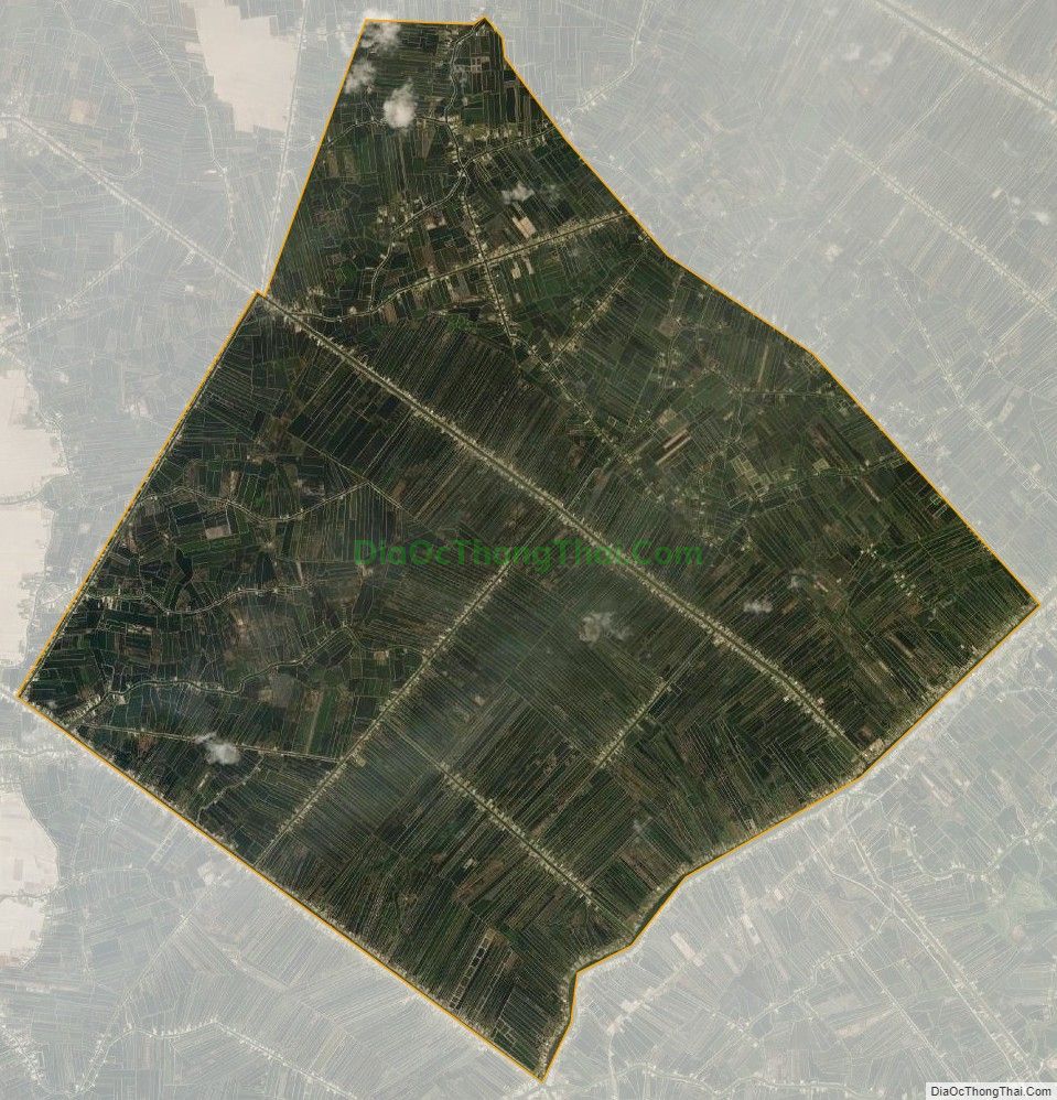 Bản đồ vệ tinh xã Tân Lộc Đông, huyện Thới Bình