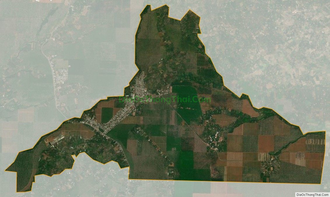 Bản đồ vệ tinh xã Xuân Mỹ, huyện Cẩm Mỹ