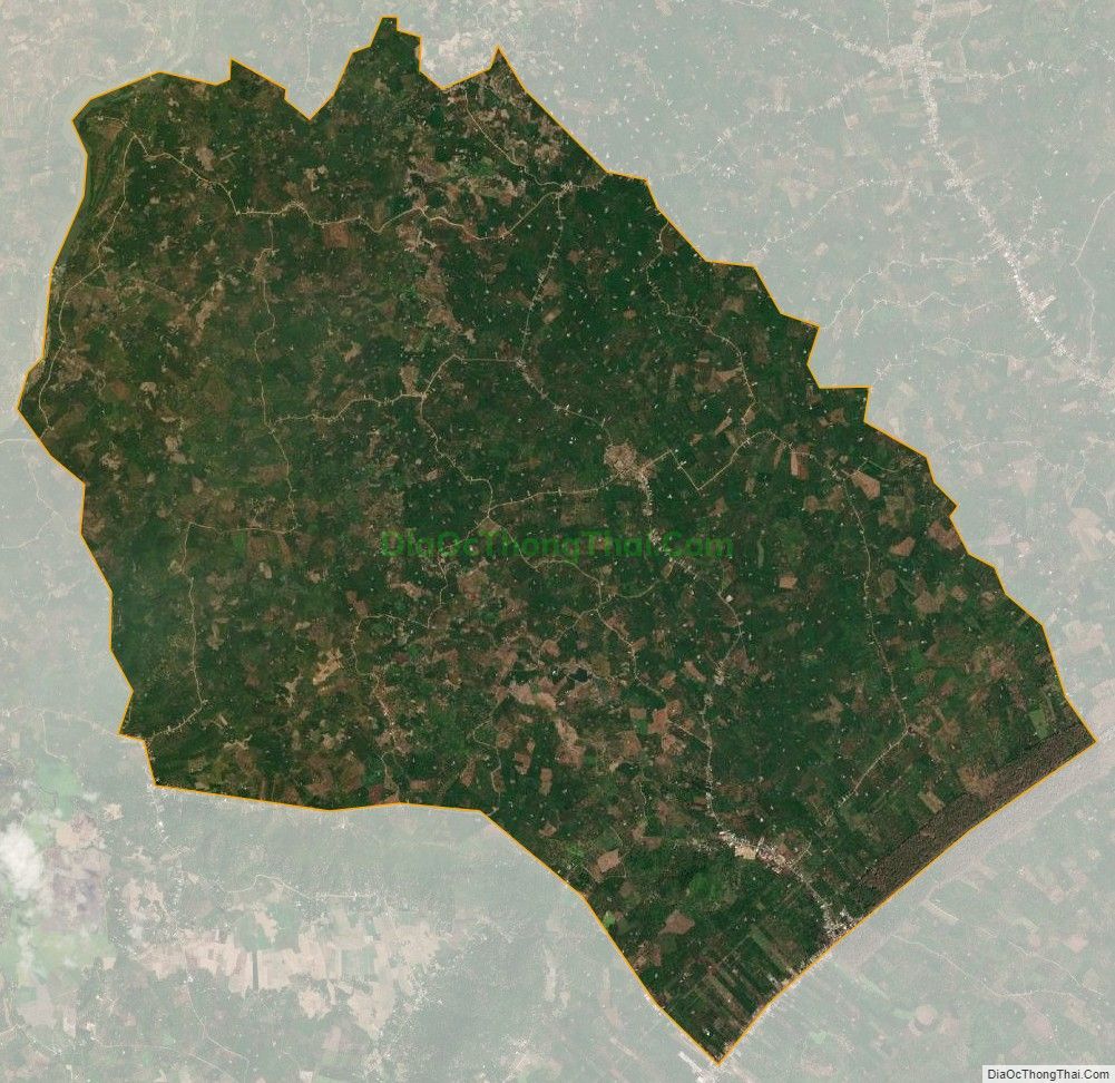 Bản đồ vệ tinh xã Phú Tân, huyện Định Quán