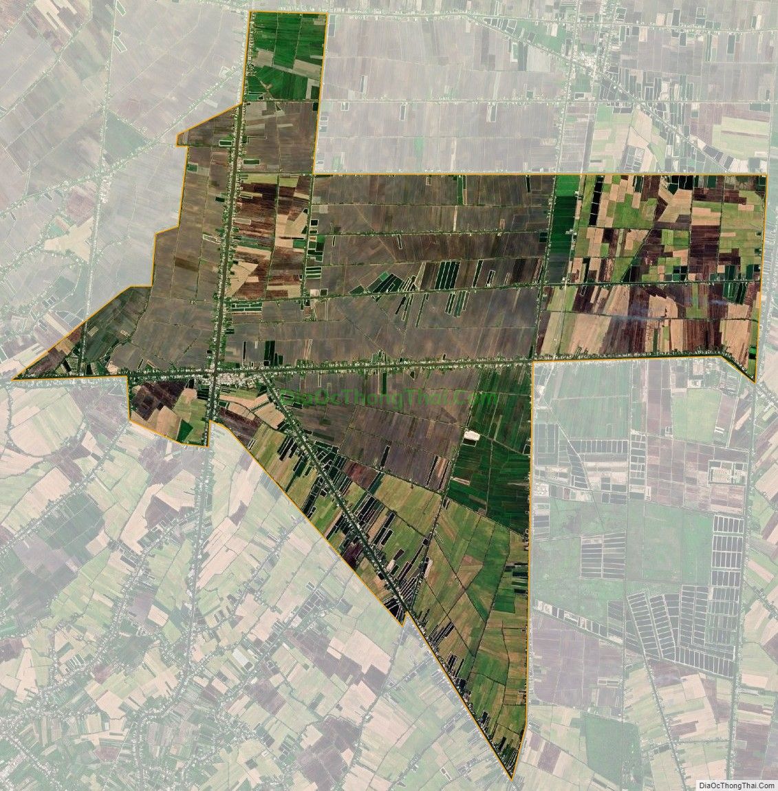 Bản đồ vệ tinh xã Tân Hội Trung, huyện Cao Lãnh