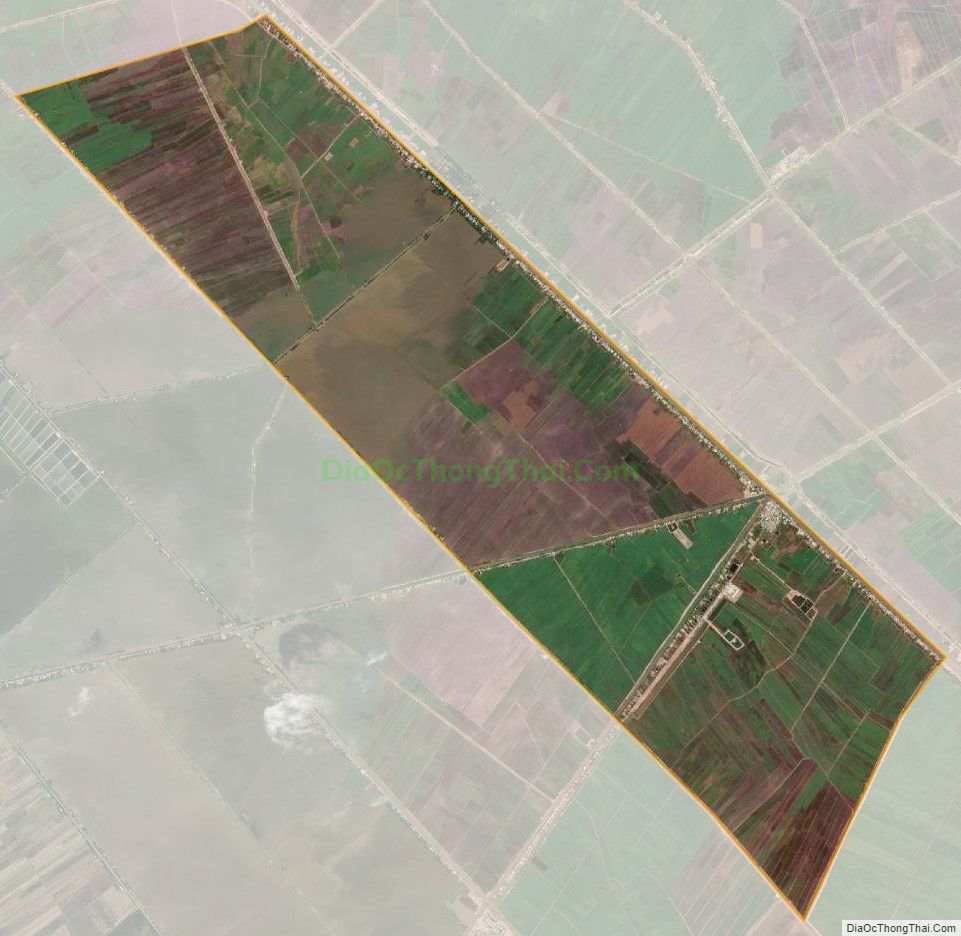 Bản đồ vệ tinh xã Hòa Bình, huyện Tam Nông