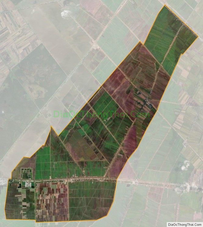 Bản đồ vệ tinh xã Phú Cường, huyện Tam Nông