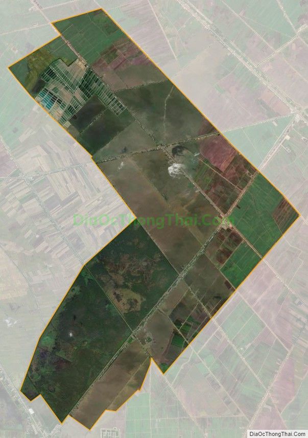 Bản đồ vệ tinh xã Tân Công Sính, huyện Tam Nông