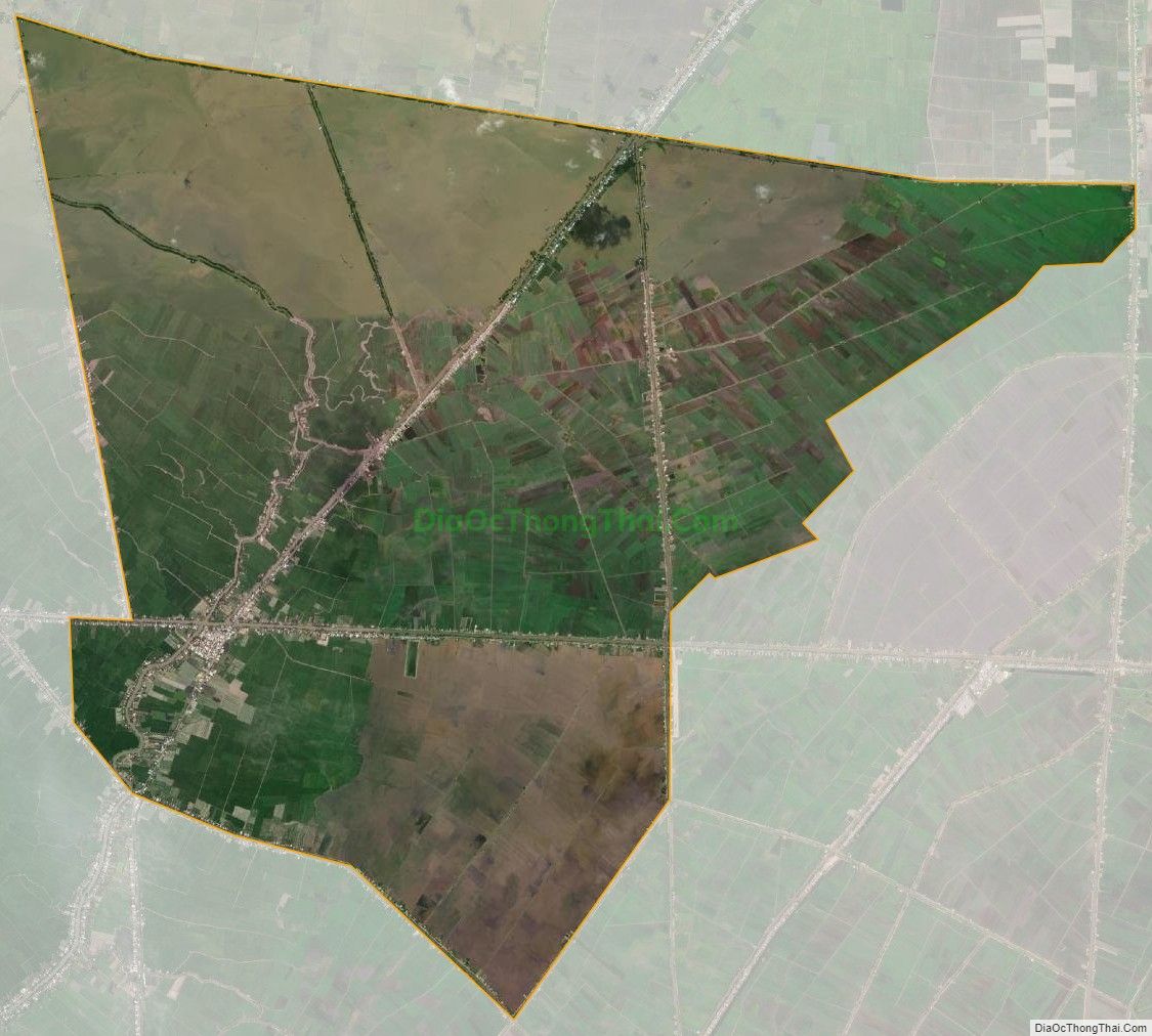Bản đồ vệ tinh xã Tân Mỹ, huyện Thanh Bình
