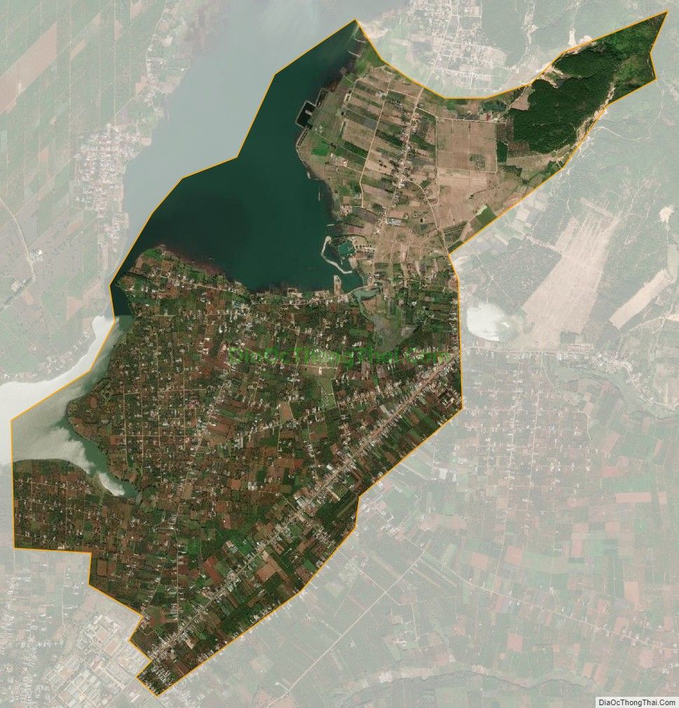 Bản đồ vệ tinh xã Tân Sơn, thành phố Pleiku