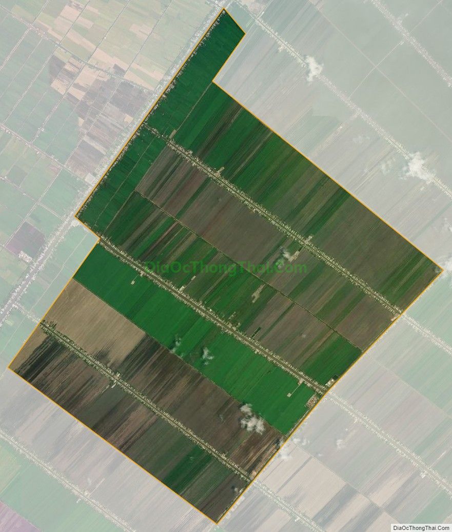 Bản đồ vệ tinh xã Tân Hòa, huyện Tân Hiệp