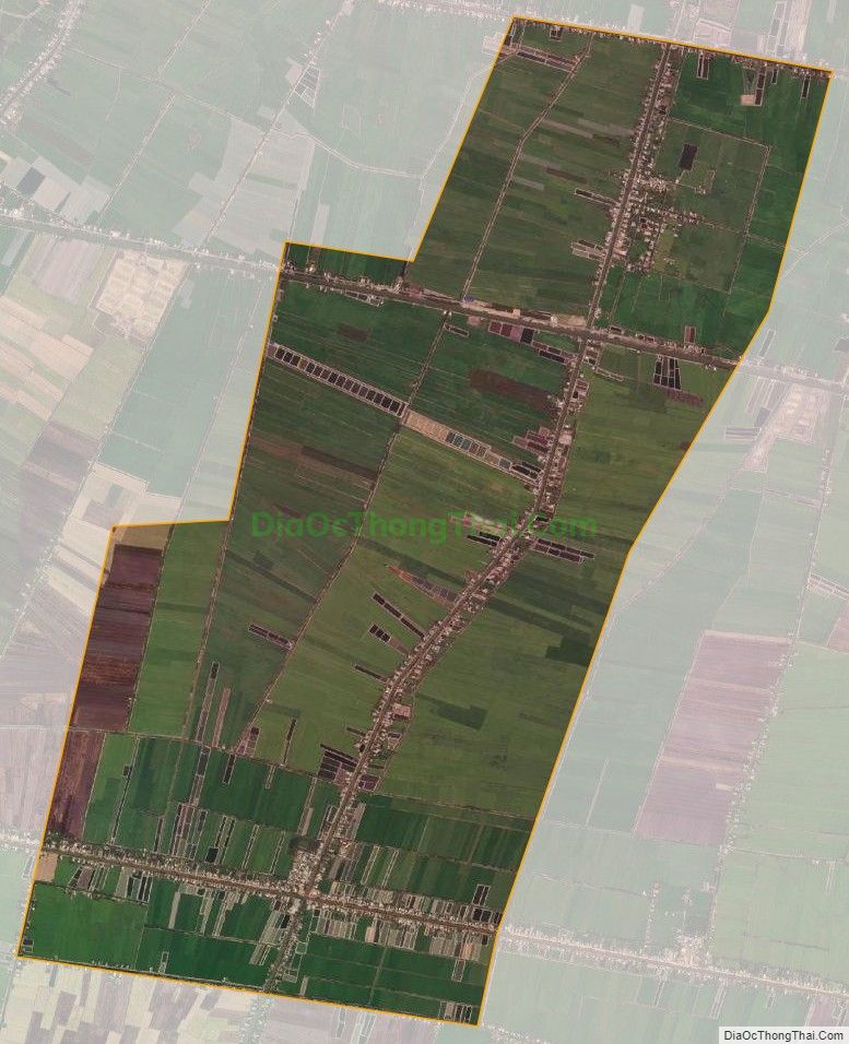 Bản đồ vệ tinh xã Bắc Hòa, huyện Tân Thạnh