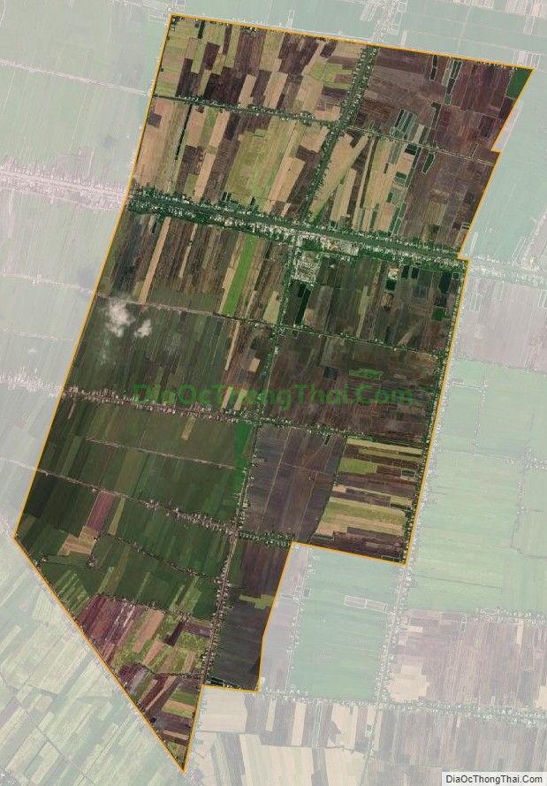 Bản đồ vệ tinh xã Hậu Thạnh Đông, huyện Tân Thạnh