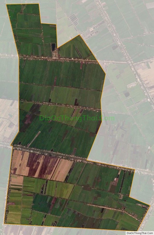 Bản đồ vệ tinh xã Nhơn Hòa, huyện Tân Thạnh