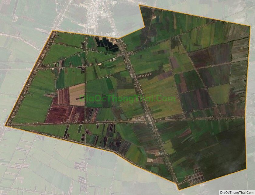 Bản đồ vệ tinh xã Tân Bình, huyện Tân Thạnh