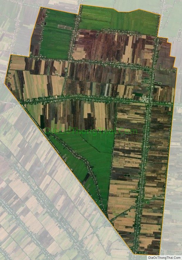 Bản đồ vệ tinh xã Tân Thành, huyện Tân Thạnh