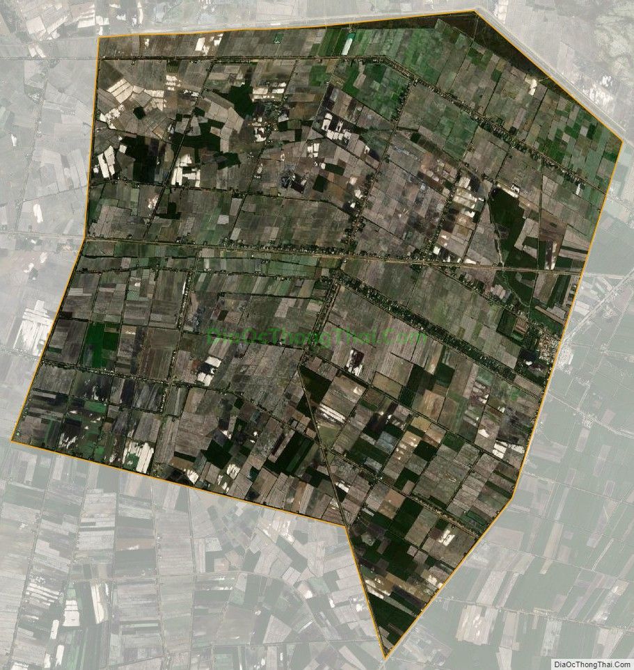 Bản đồ vệ tinh xã Tân Hiệp, huyện Thạnh Hóa