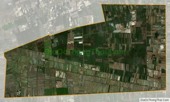 Bản đồ vệ tinh xã Thạnh An, huyện Thạnh Hóa