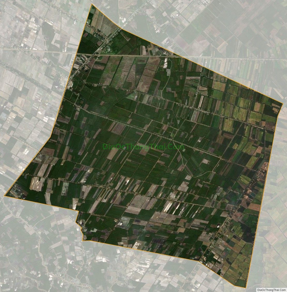 Bản đồ vệ tinh xã Thuận Bình, huyện Thạnh Hóa
