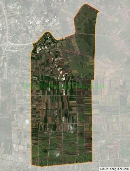 Bản đồ vệ tinh xã Thủy Đông, huyện Thạnh Hóa
