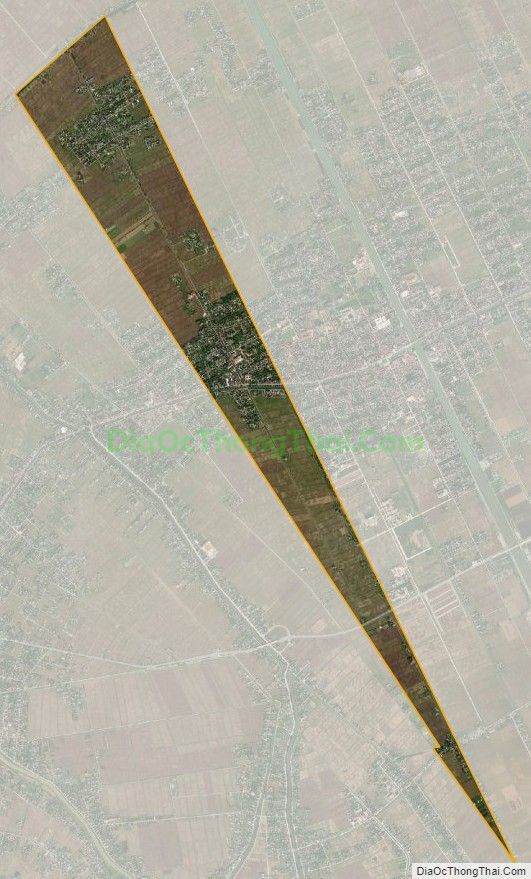 Bản đồ vệ tinh xã Tân Thành, huyện Kim Sơn