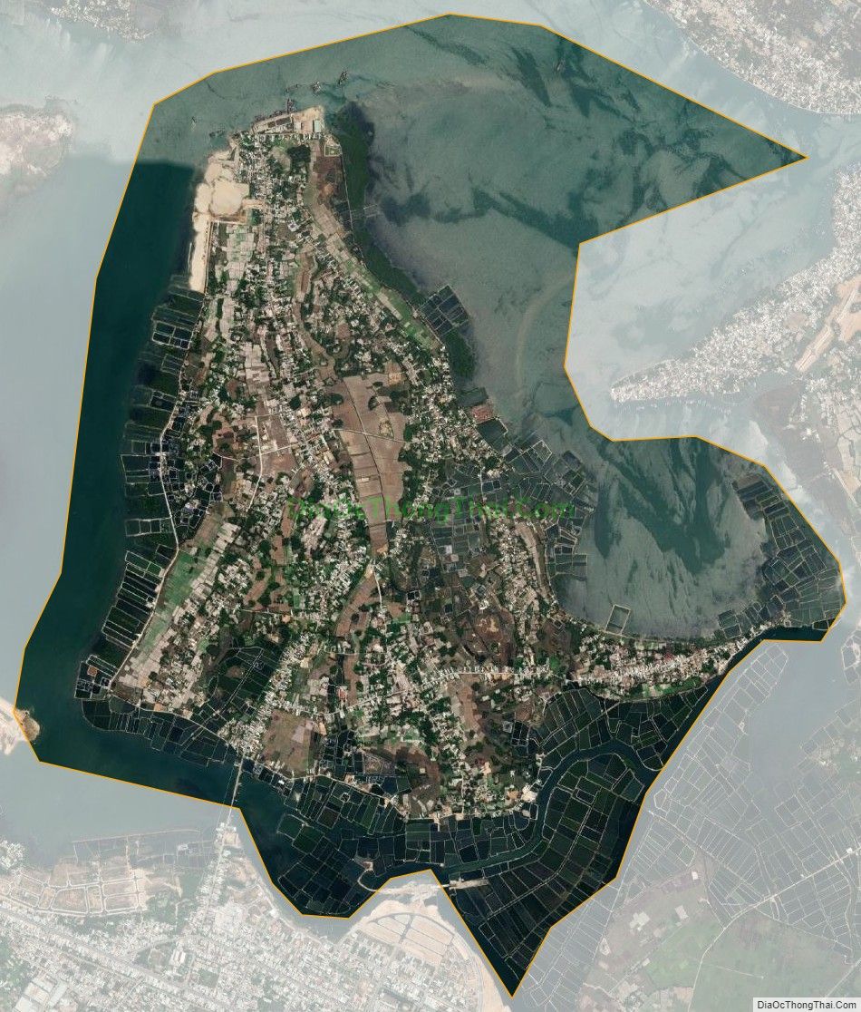 Bản đồ vệ tinh xã Tam Giang, huyện Núi Thành
