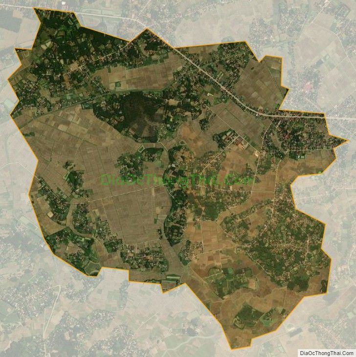 Bản đồ vệ tinh xã Thọ Cường, huyện Triệu Sơn