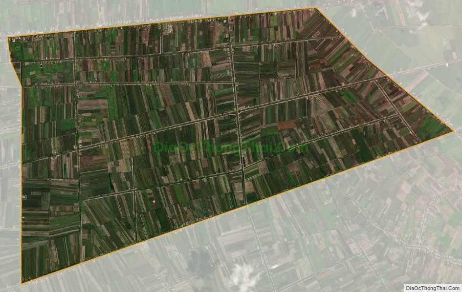 Bản đồ vệ tinh xã Tân Hòa Đông, huyện Tân Phước