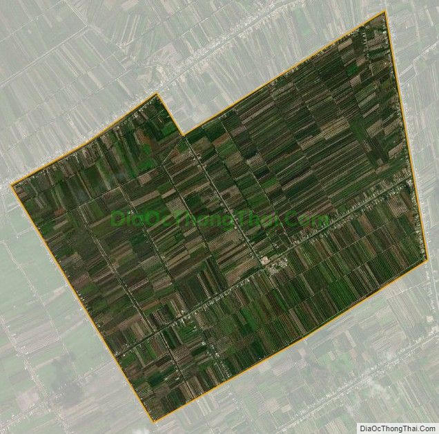 Bản đồ vệ tinh xã Tân Lập 2, huyện Tân Phước