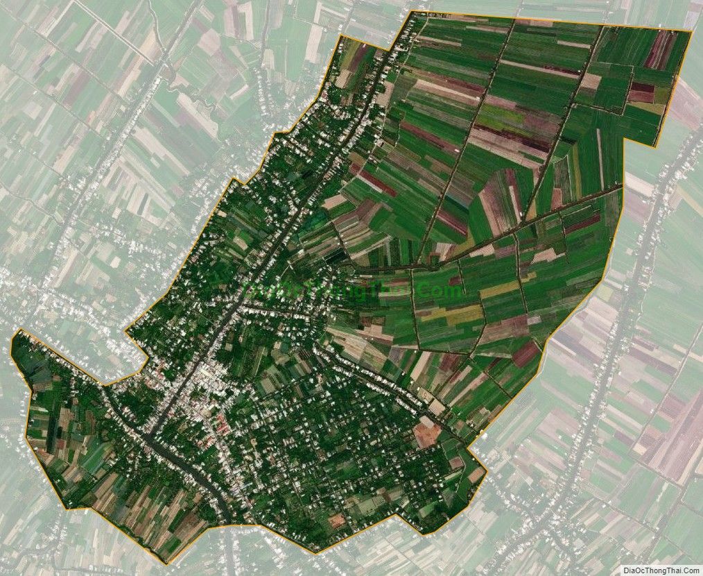 Bản đồ vệ tinh xã Tân Lược, huyện Bình Tân